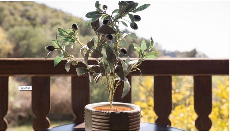 Azapiko Blue Sea Hotel - NR, Халкидики